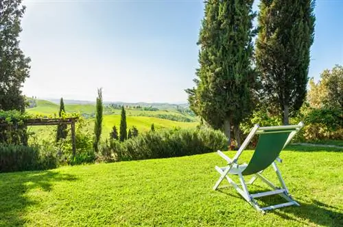 Cyprès colonnaire au jardin : conseils pour une bonne culture