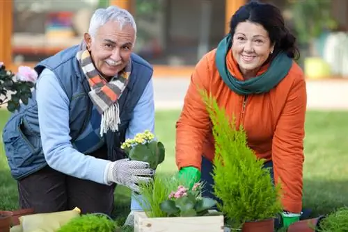 Plant sipresbome uit