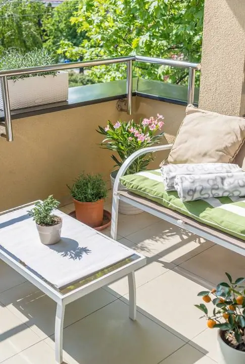 Hou oleanders suksesvol op die balkon: Dit is hoe dit werk