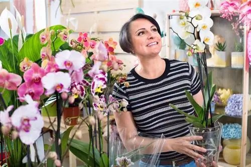 Gift idea: How do I package an orchid attractively?