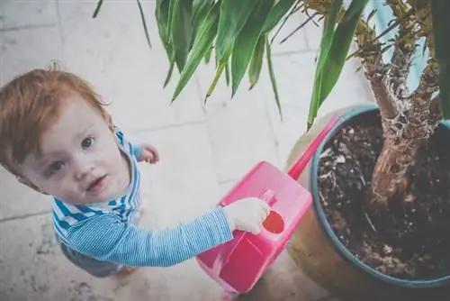 השקיה אופטימלית עבור כף היד הפנימית שלך: כך זה עובד