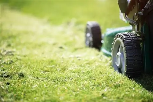 Mowing or mulching: How do I optimize lawn care?