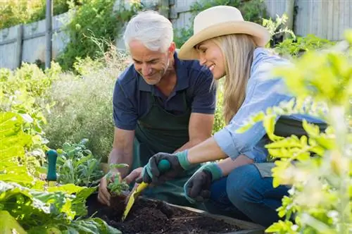 Plantez un lit d'herbes aromatiques