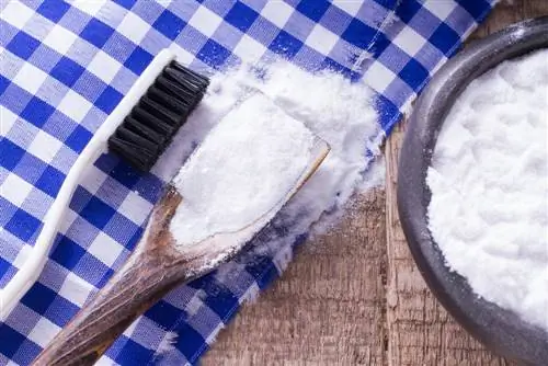 Remove moss with baking soda: Does it really work?