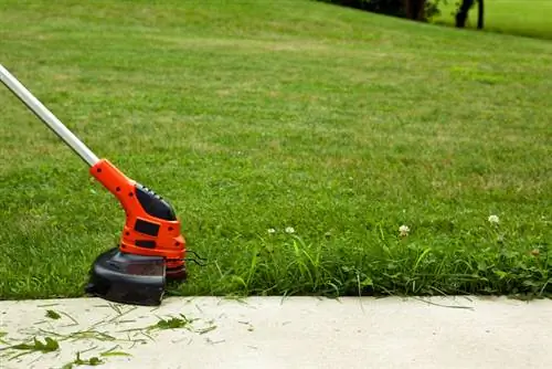 Memotong tepi rumput: Inilah cara Anda mendapatkan hasil akhir yang sempurna