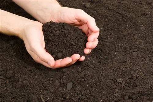 Enrichir la terre du jardin