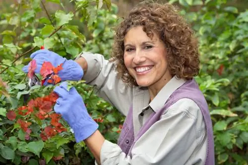 Cut the triplet flower: When and how for lush flowers?