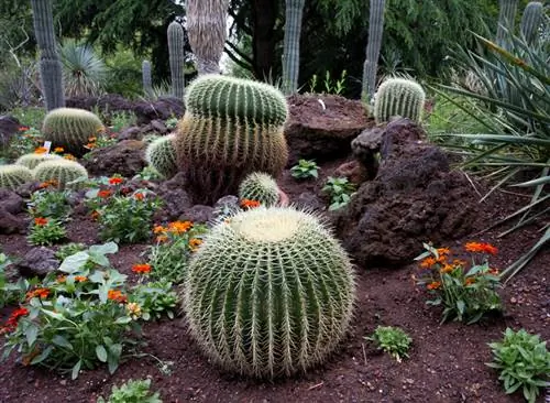 Jardín del asiento de la suegra