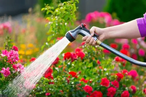 Garden showers in the test: Which ones are really convincing?