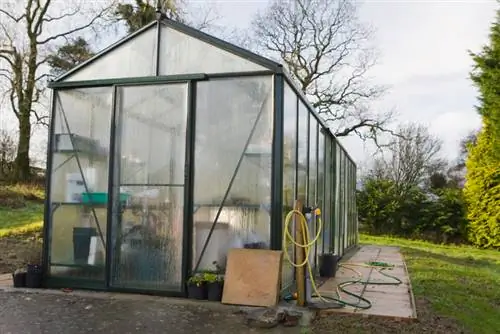 Plantes d'intérieur hivernant dans la serre