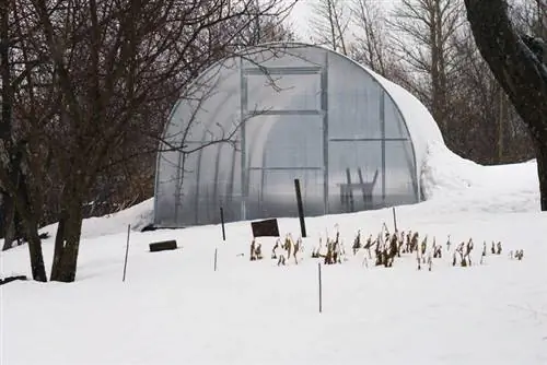 Film greenhouse in winter