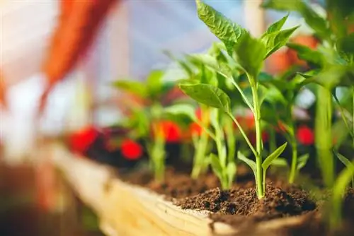 Build your own greenhouse