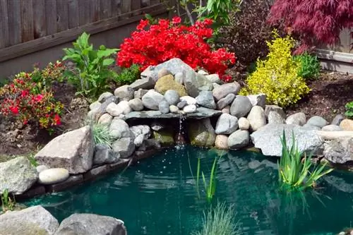 Dressing up pond filters: Creative options and tips