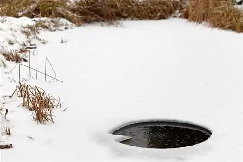 Operating a pond pump in winter: When and how?