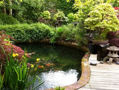 Calculating pond filters: What do I have to pay attention to?