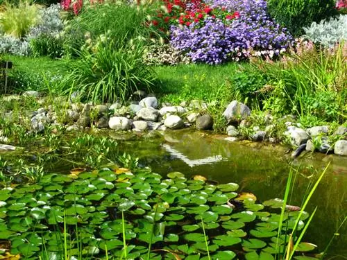 Cleaning pond filters: How often is it really necessary?