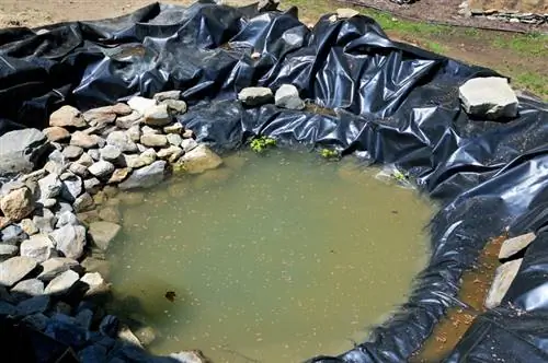 Make your own pond