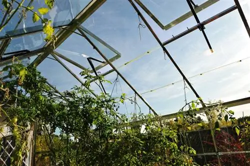 Ventilare la serra