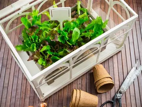 Winterizing your balcony greenhouse: step by step