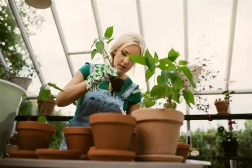 Palakihin ang greenhouse