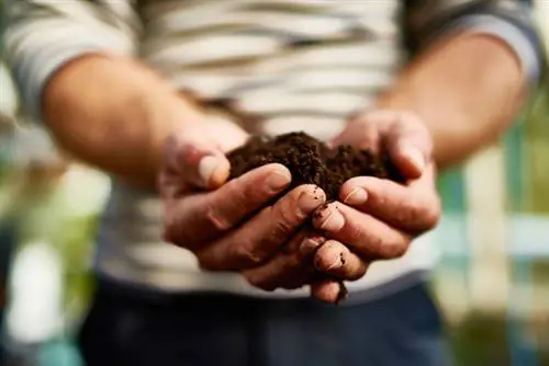 Tierra de Invernadero: La mezcla perfecta para tus plantas