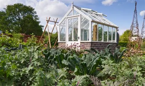 Align the greenhouse