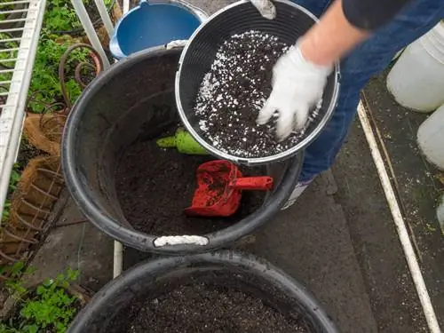 Preparing greenhouse soil