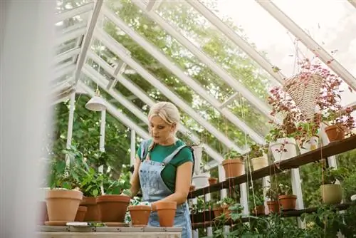 Create a greenhouse: How to create your own paradise