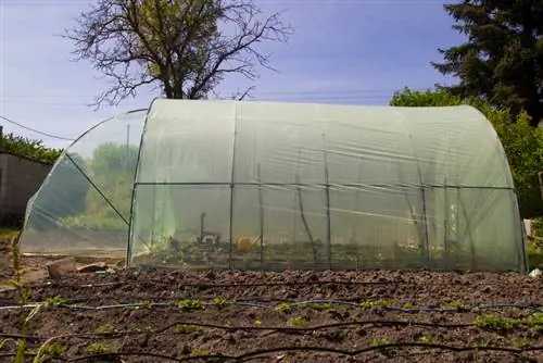 Instal·lació de l'hivernacle: alineació correcta sense fonaments