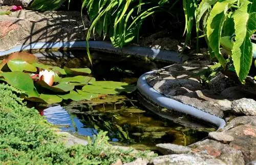 Attaching pond liner to concrete: solutions & tips