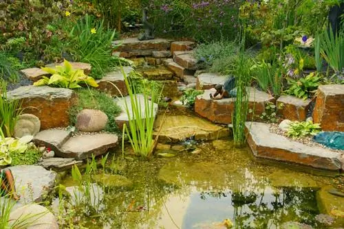 Creating a garden stream: step by step with pond liner