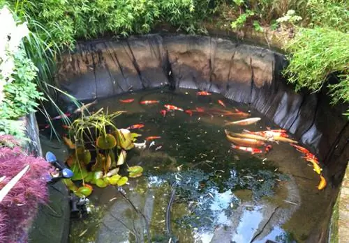 Replace pond liner