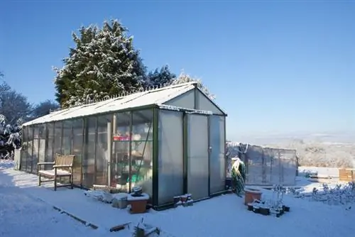 Greenhouse how warm in winter