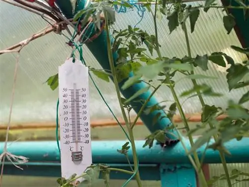 Temperature control in the greenhouse ensures a comfortable climate