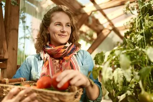 Make the most of the greenhouse