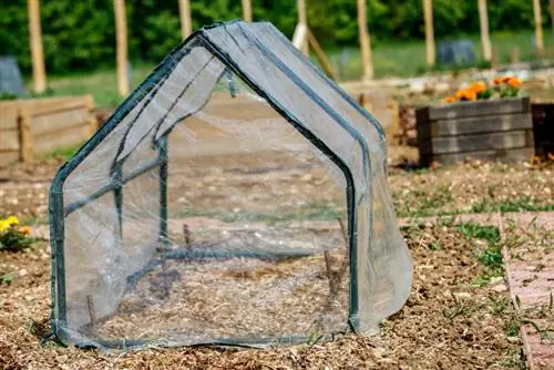 Compare greenhouse prices: Build yourself or buy?