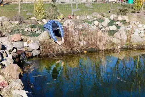 Pond liner leak