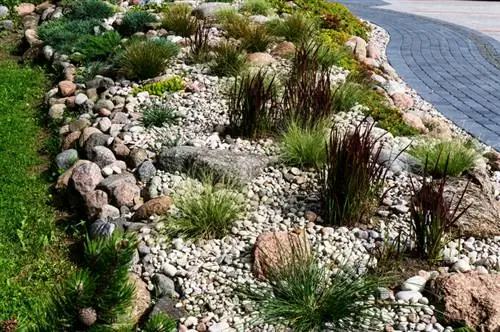 Plant a rock garden