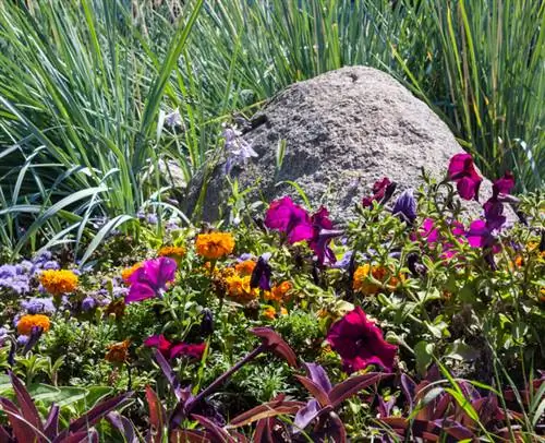 Rumput di taman batu