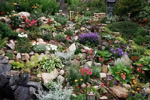 Ubicación en la ladera del jardín de rocas