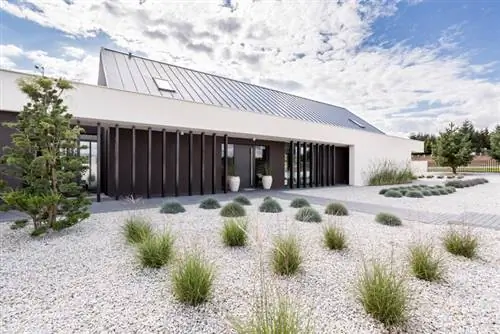 Grasses gravel garden