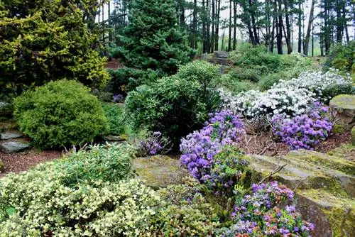 Rock garden partially shaded Rock garden partially shaded
