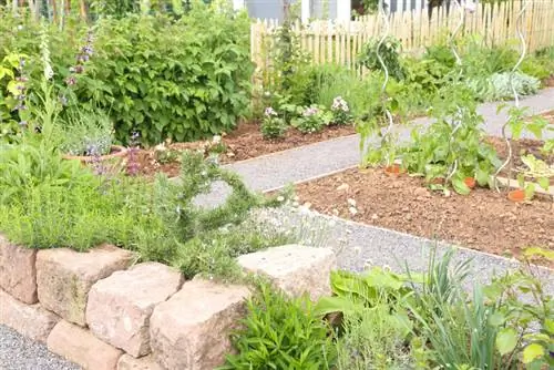 Hierbas en el jardín de rocas.