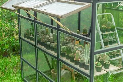 Greenhouse na may cacti