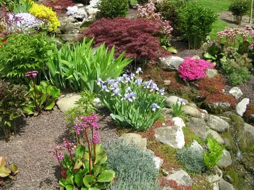 Design a natural rock garden