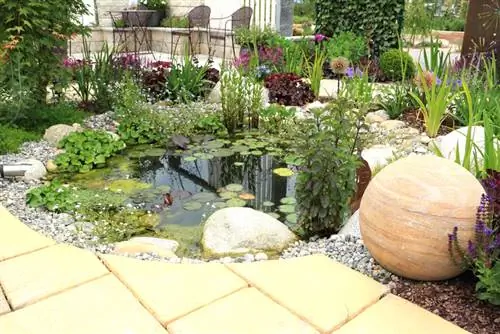 Jardín de rocas con agua