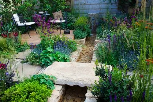 Rock garden with water: creative ideas and design tips