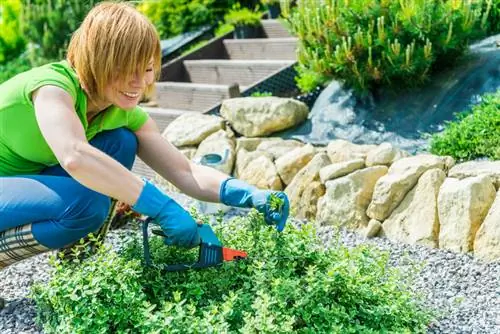 Potatura del giardino roccioso