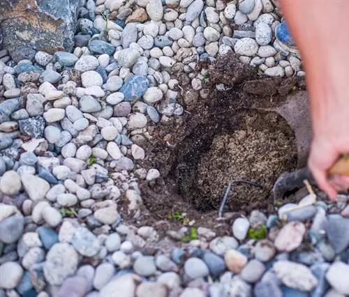 Sustrato para jardín de rocas: las mezclas e instrucciones adecuadas