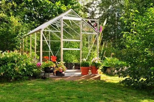 Greenhouse: advantages, disadvantages & optimal planning